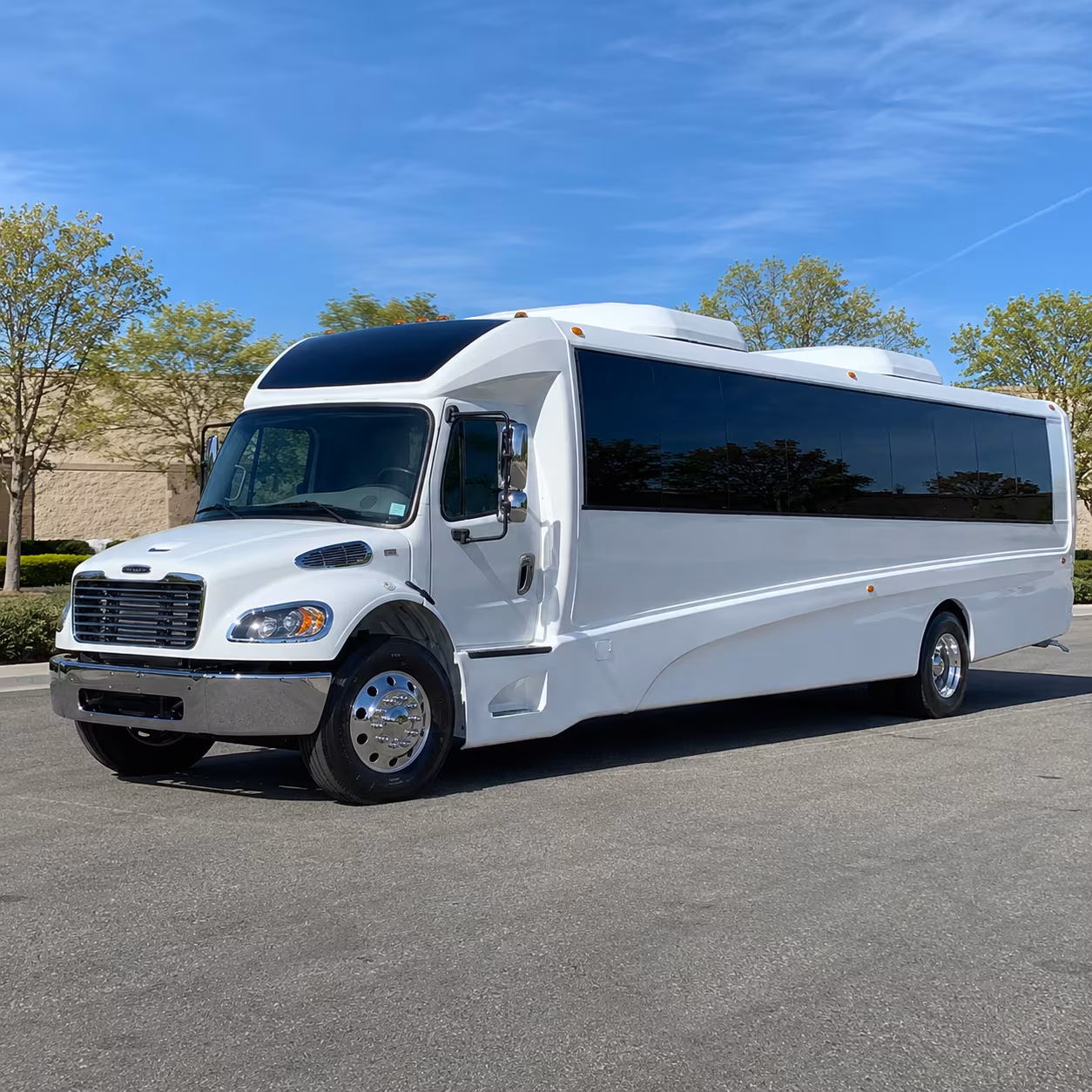 corpus christi 18 passenger minibus