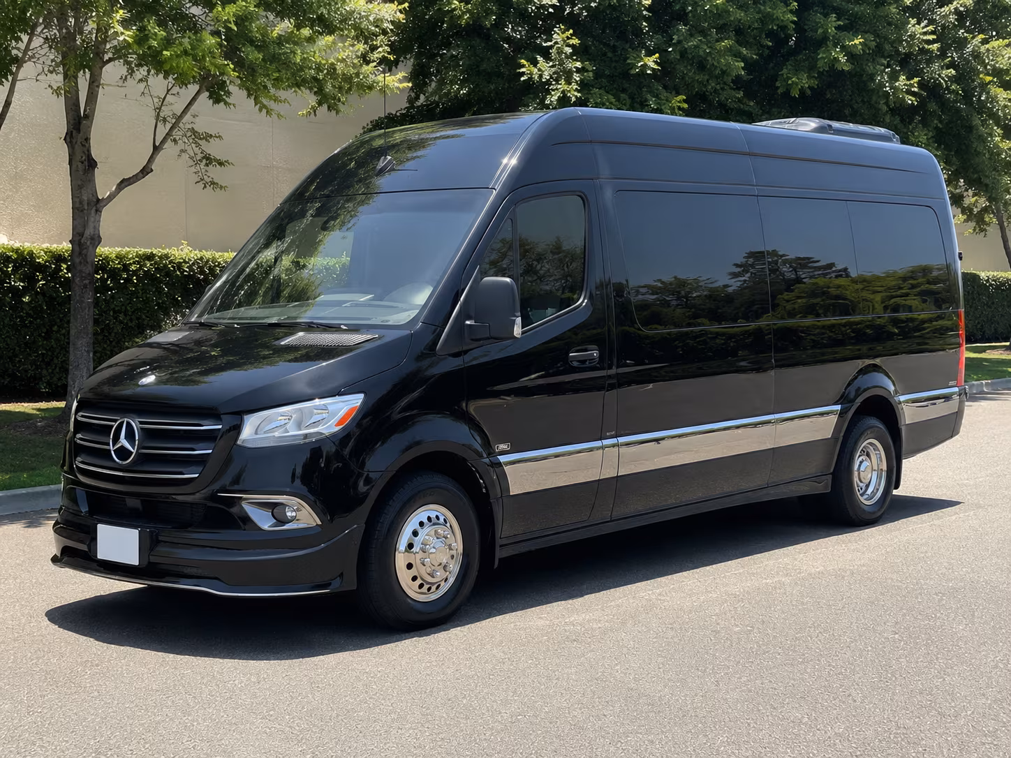 corpus christi sprinter van with driver